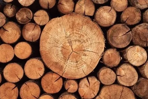 بهترین چوب برای مبلمان